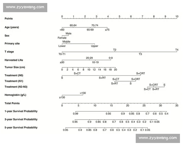 基于英超赛前数据模型的胜负走势深度解析与预测策略优化研究探讨 基于英超赛前数据模型的胜负走势深度解析与预测策略优化研究探讨